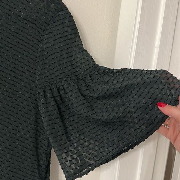 H&M - Sheer Bell sleeve blouse - Picture 2 of 3